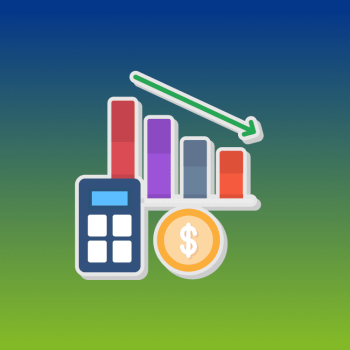 Microsoft Accounting Services